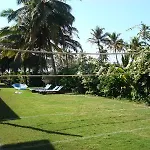 Coconut Grove